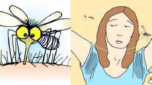 Muỗi bị thu hút bởi mùi mồ hôi và thường tới gần người ra mồ hôi