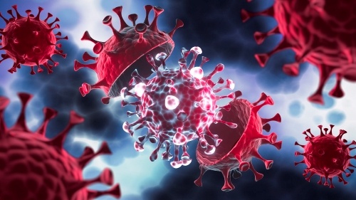 Sốt siêu vi phát ban do virus HHV6 và HHV7 gây ra